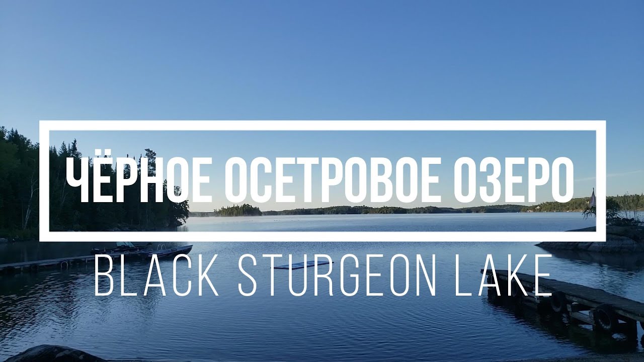 Black Sturgeon Lake Чёрное осетровое озеро YouTube