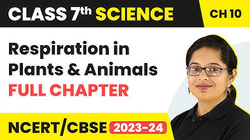 Respiration in Plants and Animals Full Chapter Class 7 Science | NCERT Science Class 7 Chapter 10