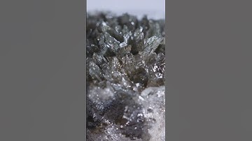 Predicting Marine Heat Waves & Ocean Acidity: A Game Changer!