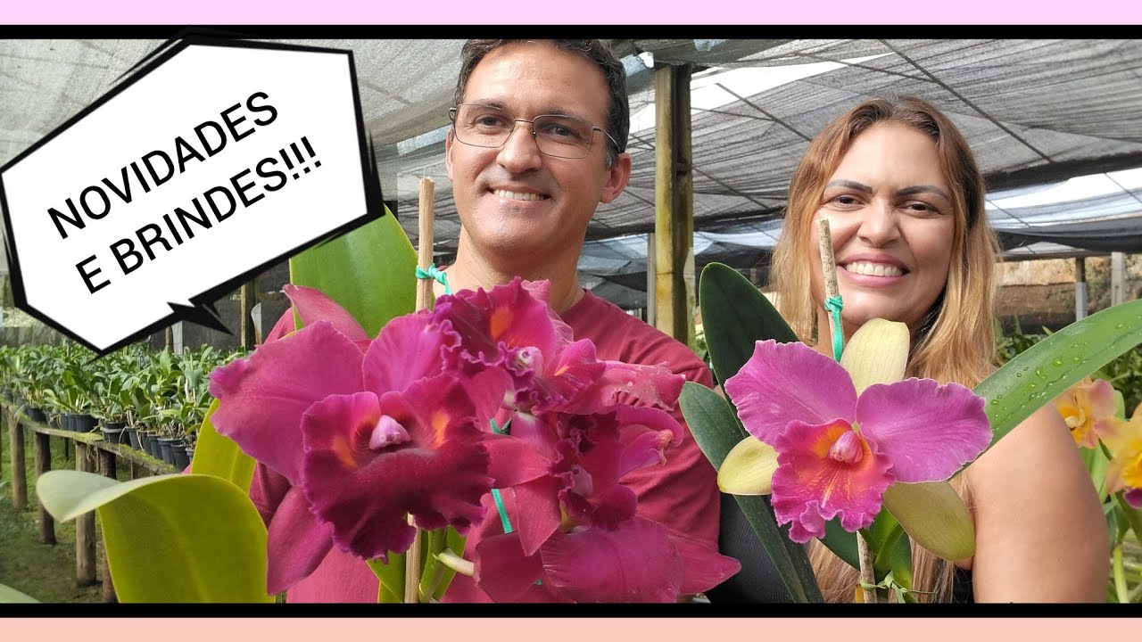 Orquidário Monte Negro: Novidades e brindes do Dia Internacional da Mulher ❤️