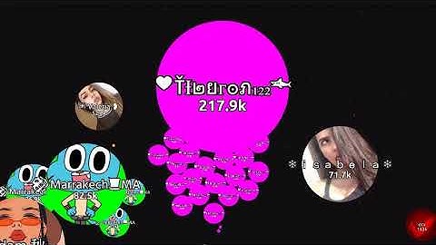 X32,x16 self-feed vanis.io