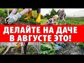 ДЕЛАЙТЕ это в августе на даче | ОШИБКИ, которые лишают урожая