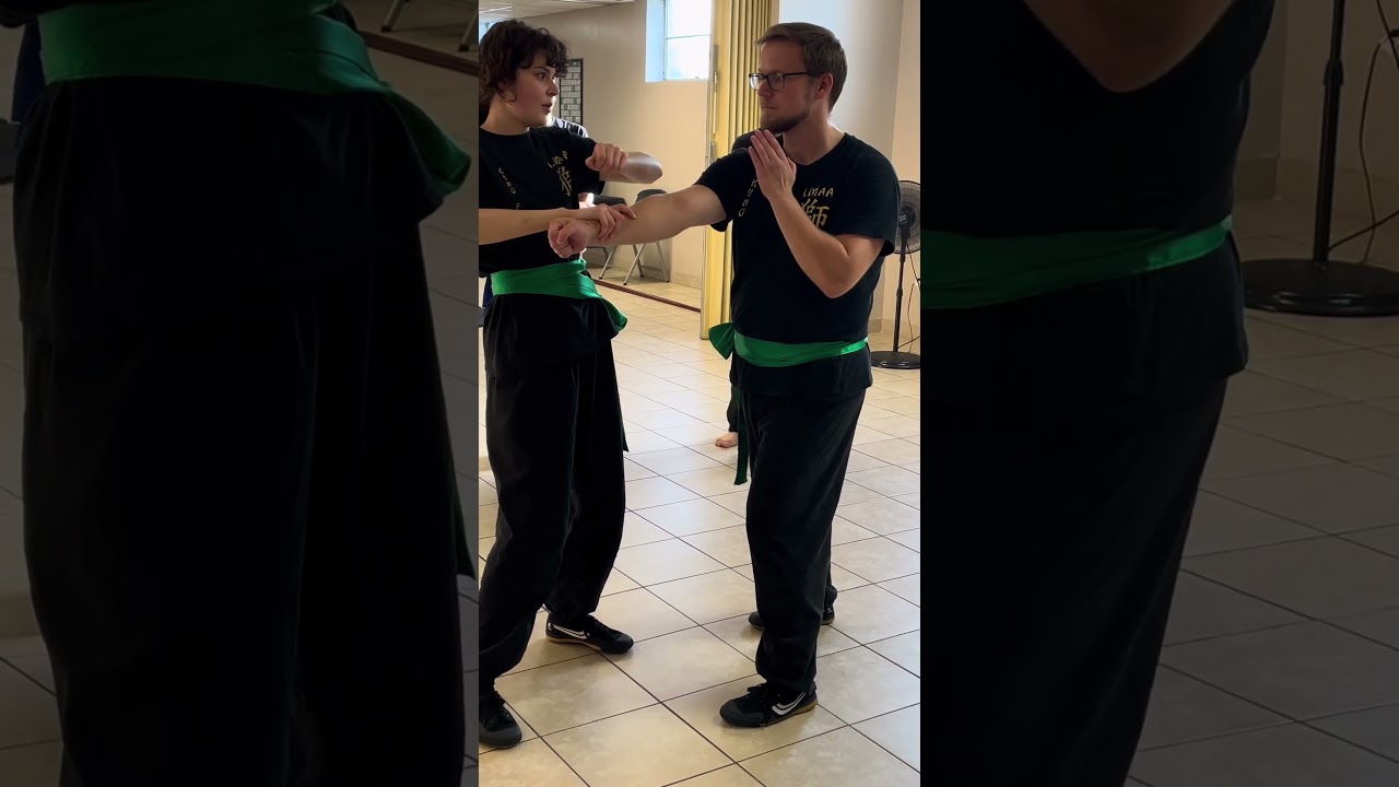 Lion Martial Arts Academy