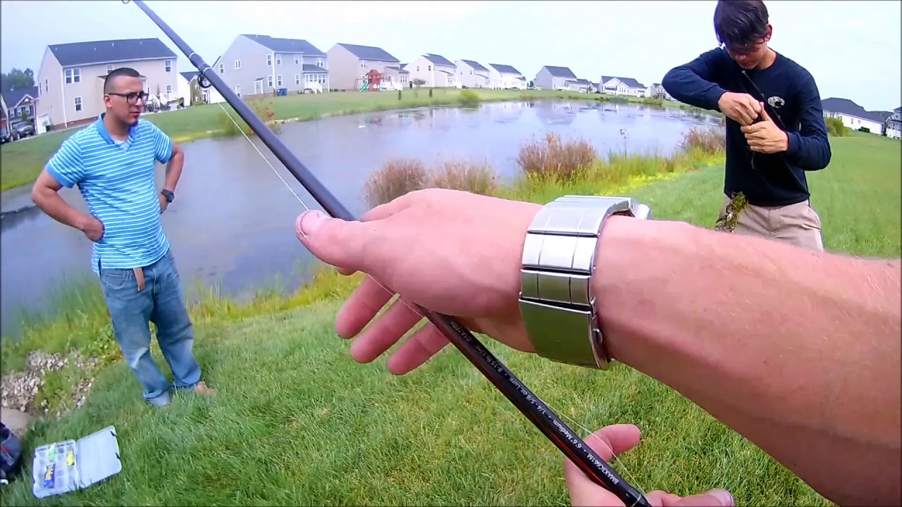 HUGE BLOWUPS ON TOPWATER FROGS