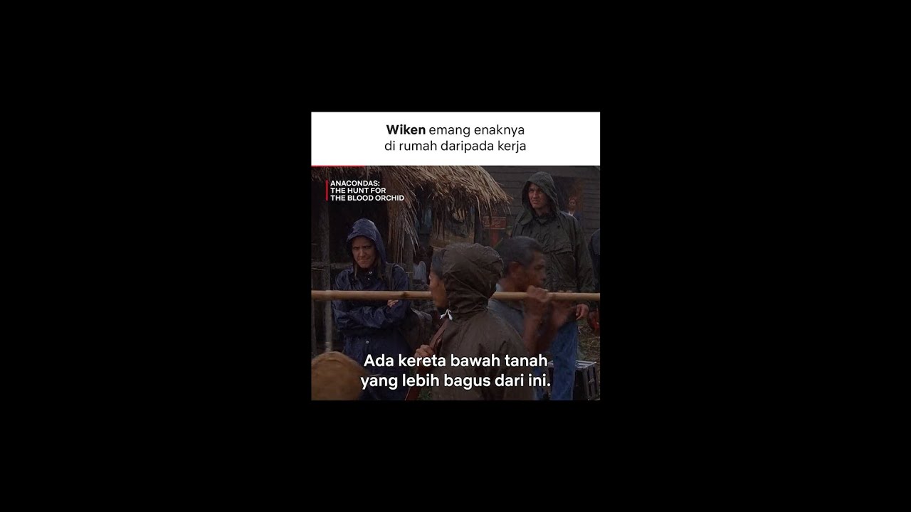 Bule Ngeluh Susah Nembusin Bea Cukai Indo | Anacondas: The Hunt for the Blood Orchid | 