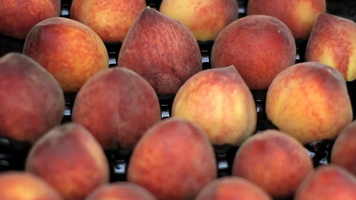 Figuring out the difference between nectarines and peaches - DayDayNews