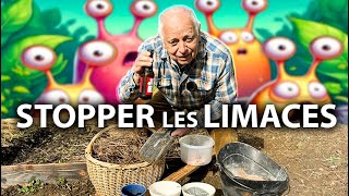 Astuces Pour Stopper Les Limaces