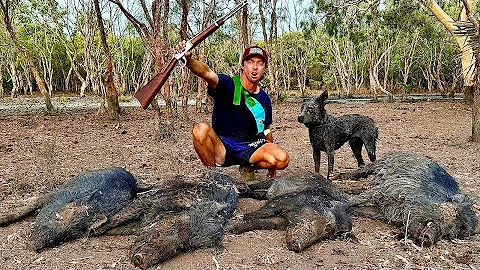 Insane PIG HUNT Adventure! Chasing Barra Turns Into Epic .357 Rifle Hunt!