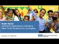 Bright Spots: Schools &amp; Organizations Cultivating Black Youth Excellence in Los Angeles Webinar