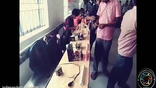 Independent Scientist Performance