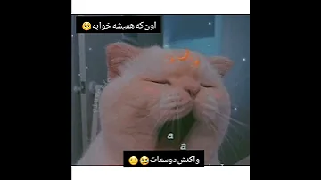 رقص الناز تولد کلیپ دابسمش کیوت خنده دار 