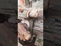 Do you know what this is? #generator #youtubeshorts #shorts #shortsfeed #antique #youtubenextup