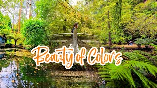 🍂 Alfred Nicholas Memorial Garden in Autumn | Scenic Dandenong Ranges Escape 🍁