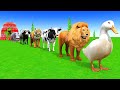 Long Slide Game with Cow Elephant Gorilla Hippopotamus Tiger 3d Animal Game Funny 3d Animals
