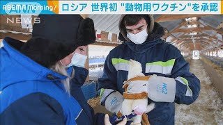 世界初！動物用コロナワクチンを承認　ロシア(2021年4月1日)