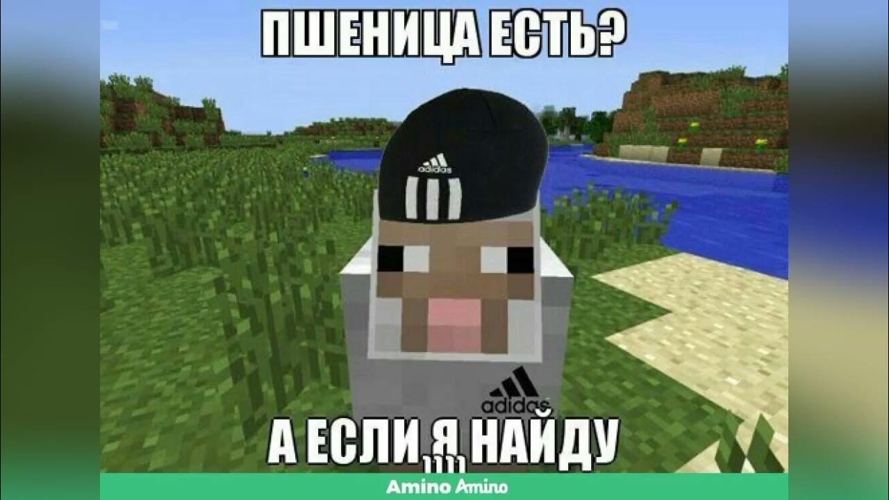 Смешные видюхи майнкрафта на rutube лучшие мемы
