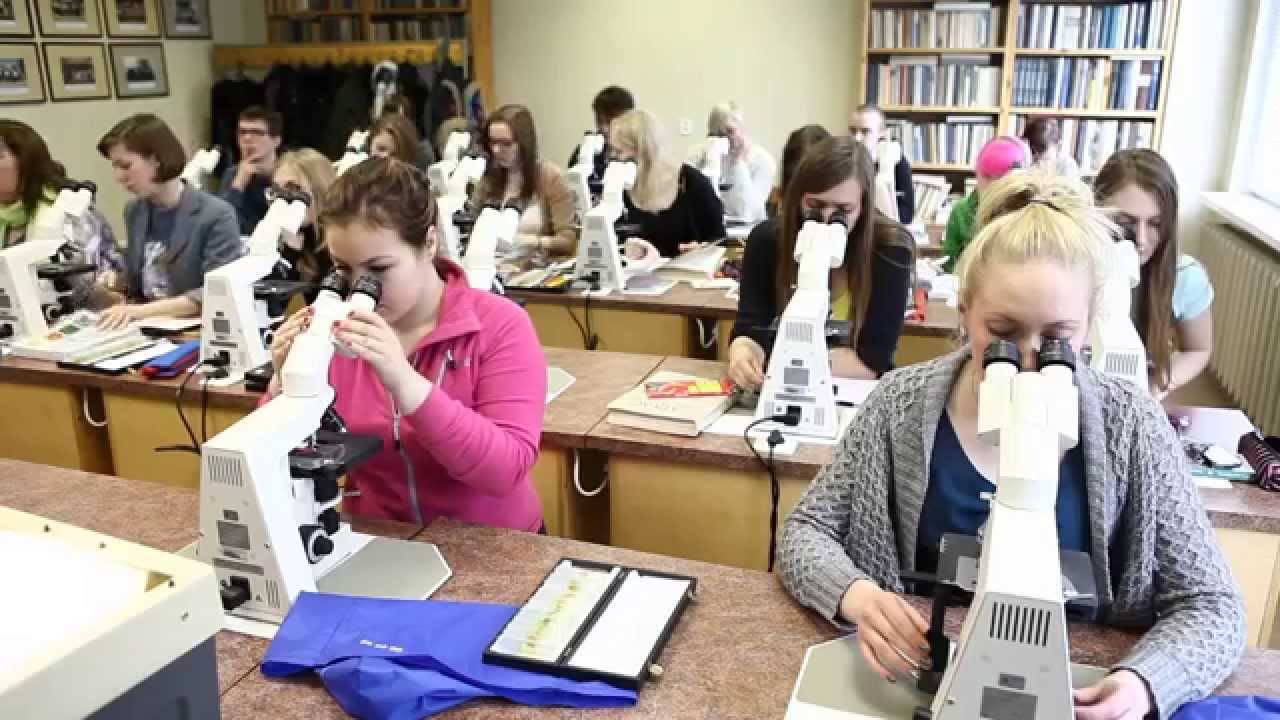 Study Veterinary Medicine In Tartu Youtube