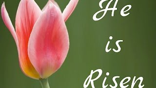 He is Risen - Matthew 28:6
