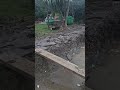 What Are Rising Walls in Residential Construction? | Dublin QS Explained