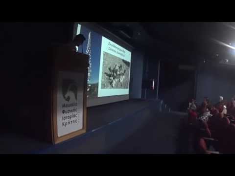 Βίντεο: Πώς μοιάζει το φθινοπωρινό σφενδάμι: χαρακτηριστικά, περιγραφή και ενδιαφέροντα γεγονότα