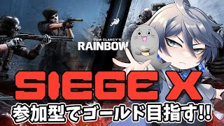 #Siege X 参加型でゴールド目指す！ #Siege参加型
