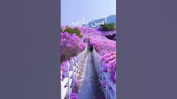 قرآن كريم #المصحف #اكسبلور #دويتو #duet #تيك_توك #ترند