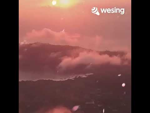 风的季节