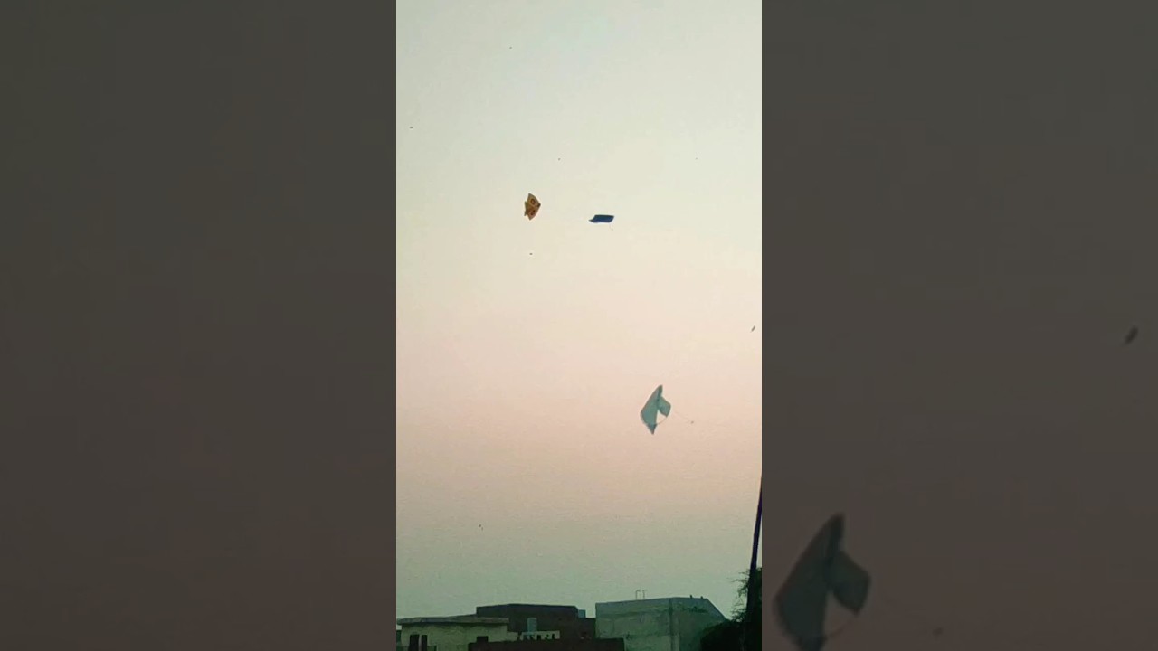 Kite rolling 🪁 there Kite's fighting sean 👈 kite flying🔥