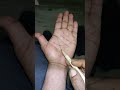 #hastrekhashashtra #palmistry#rahu parvat se rekha nikalkar jeevan rekha, bhagya rekha,cut kar Budh