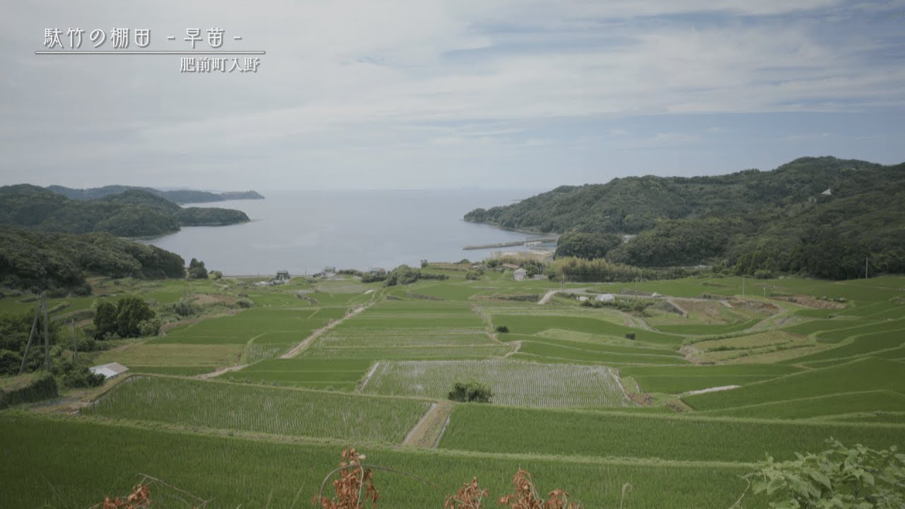 風景 ZX-25R】初夏の富士山周辺ツーリング@2025｜FUJI X がある生活