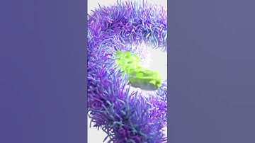 Strange crocs#3d #3dart #art #artwork #c4d #cinema4d #motiongrapher #motionmate #motiongraphics