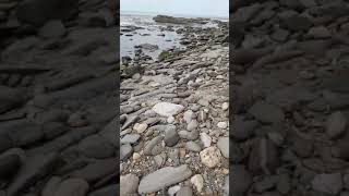 La Trip Snap Compilation