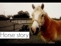 MY HORSE STORY! - Speciale video.. 2000+ abonnees ♥♥