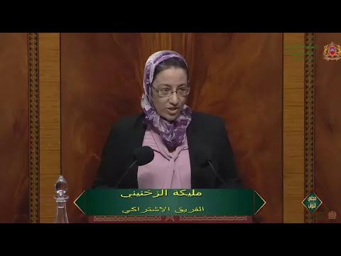 مداخلة النائبة مليكة الزخنيني في مناقشة الميزانيات الفرعية التي تدخل في اختصاص لجنة العدل والتشريع