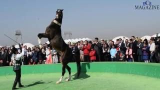 Galkynysh Equestrian Group in Turkmenistan - Part 8