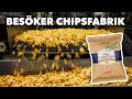 Hur tillverkas lantchips  chipsfabriken frn potatis till pse