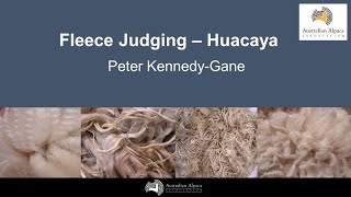 Huacaya Fleece Judging - Peter Kennedy-Gane