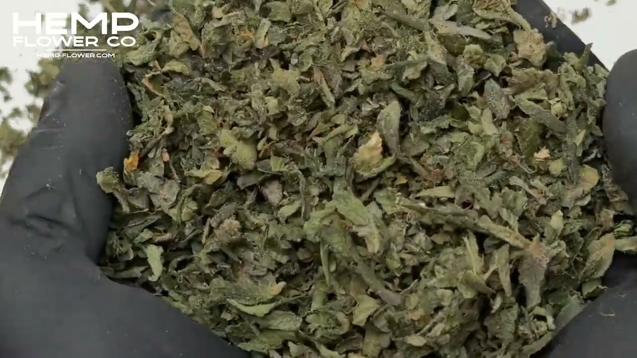 Peach Pie THCa Indoor Trim Wholesale 1LB by Hemp-Flower.com