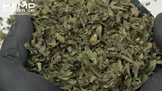 Peach Pie THCa Indoor Trim Wholesale 1LB by Hemp-Flower.com