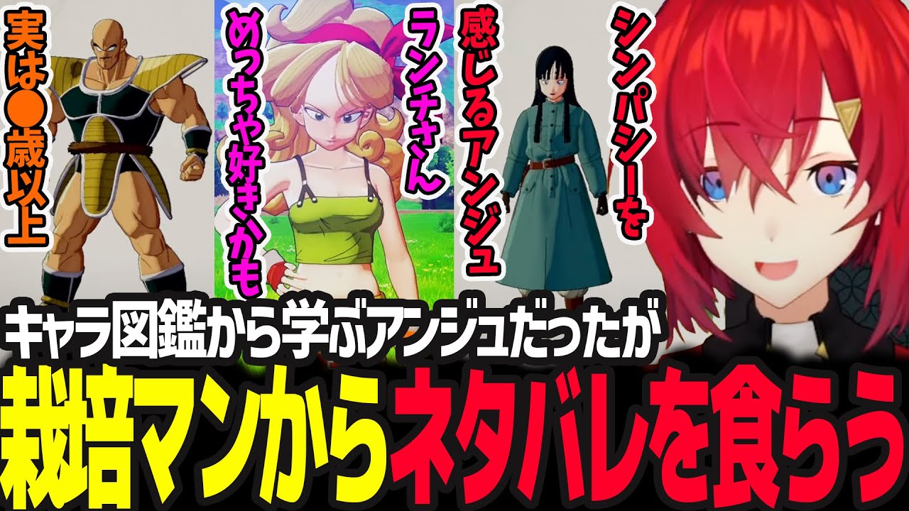 DBキャラの詳細を見て楽しんでいたら突如ネタバレを食らいその内容に驚愕するアンジュ【ドラゴンボールZ カカロット/アンジュ・カトリーナ/にじさんじ】