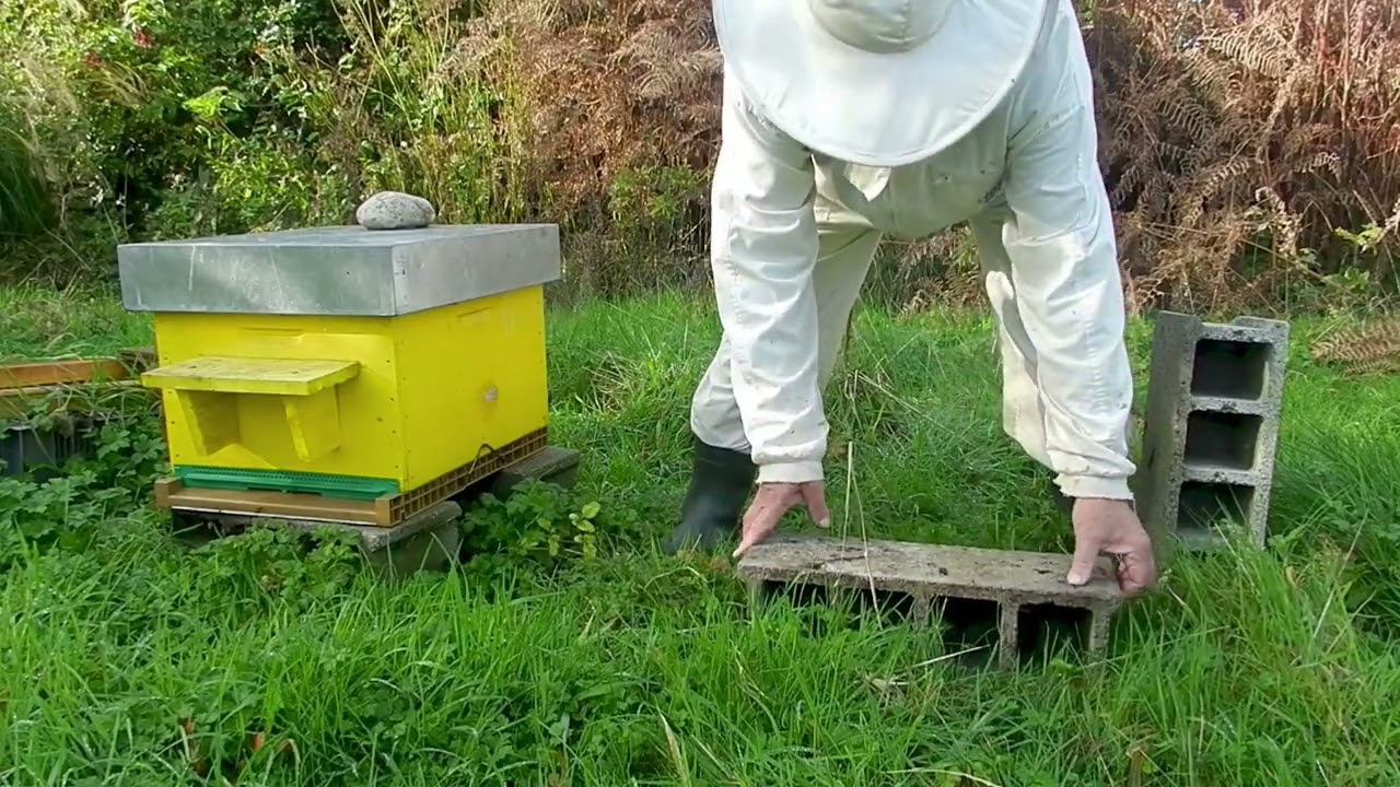 Comment déplacer ses ruches sans faire d'erreur ?