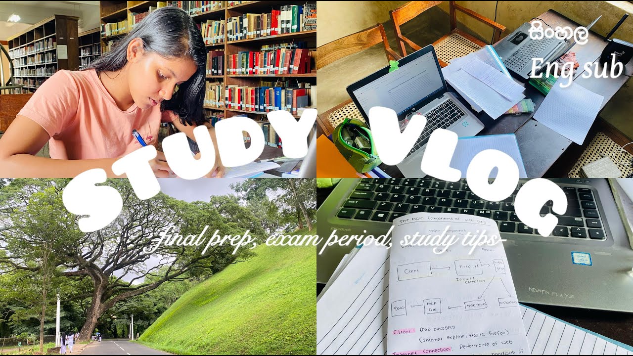 Exam Study Day Vlog | Finals Prep | library එකේ දවසම පාඩම් කරමුද? - YouTube