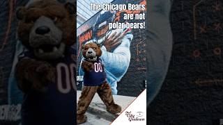 The Chicago Bears aren't polar