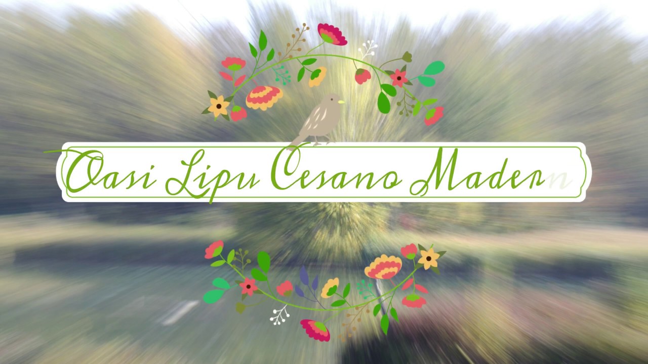 Oasi lIpu Cesano Maderno - le 4 Stagioni