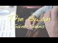 サン=サーンス"白鳥" The Swan" Saint-Saëns by Classical Guitar【"This is" No.180】