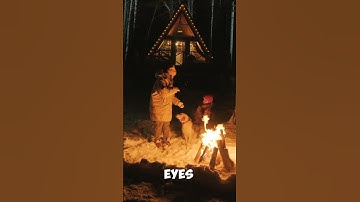 Thumbnail of Did You Know? Dogs Have Night Vision Superpowers!