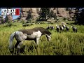 How to create a HORSE HERD in Red Dead Redemption 2