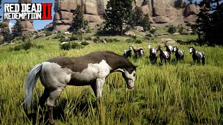 How to create a HORSE HERD in Red Dead Redemption 2