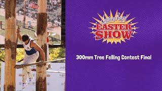 300mm Tree Felling Contest Final | March 23 | 2024