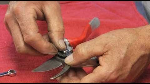 Felco Pruner #7 Maintenance - Prune Like a Pro